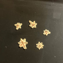 Load image into Gallery viewer, Asterina Starfish (Pack of 10)
