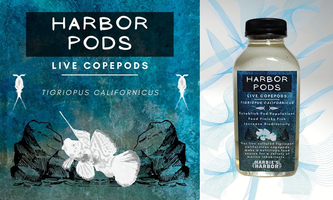 Harbor Pods