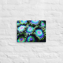 Load image into Gallery viewer, Rasta Zoa Canvas Print
