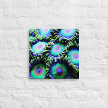 Load image into Gallery viewer, Rasta Zoa Canvas Print
