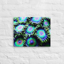 Load image into Gallery viewer, Rasta Zoa Canvas Print
