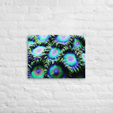 Load image into Gallery viewer, Rasta Zoa Canvas Print
