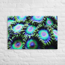 Load image into Gallery viewer, Rasta Zoa Canvas Print
