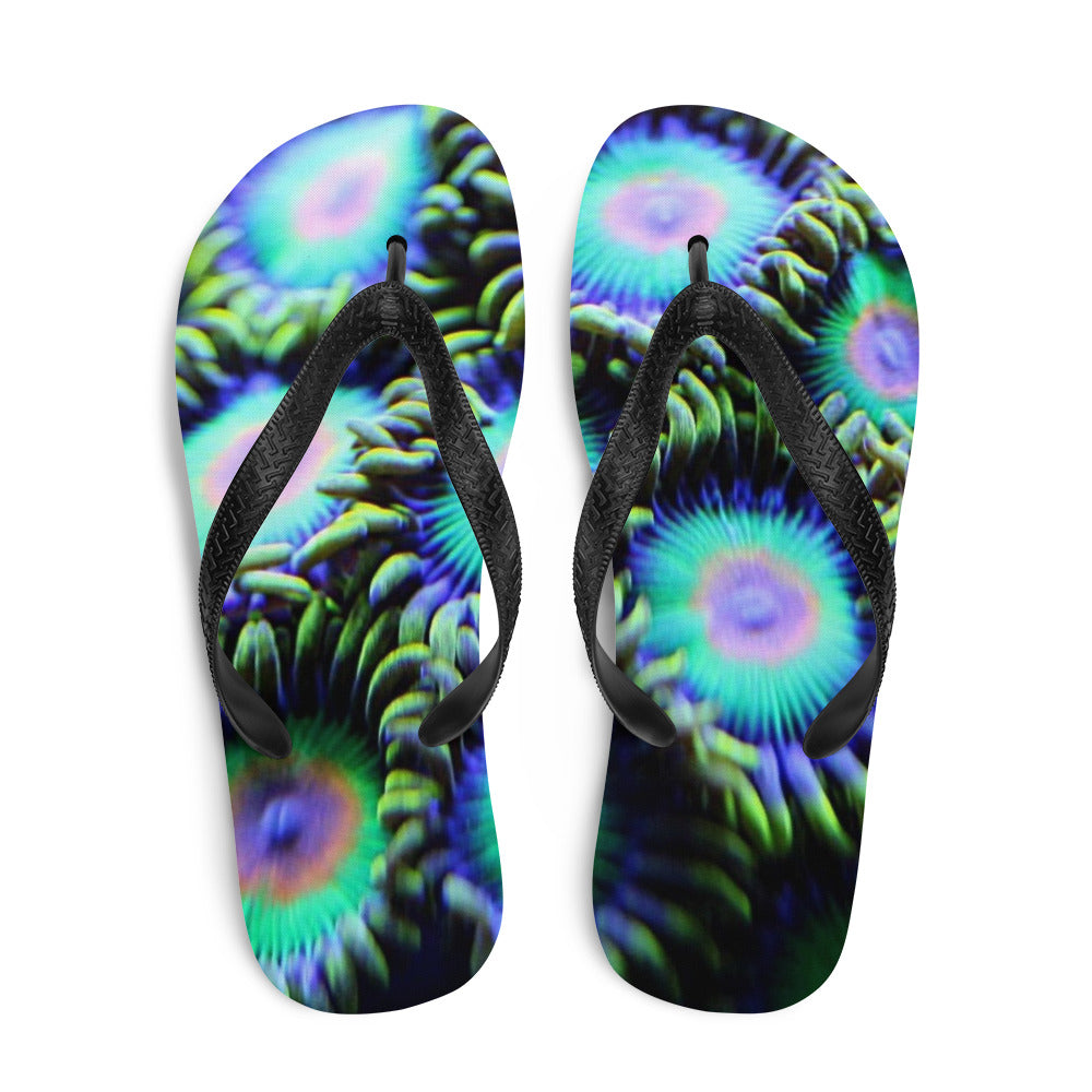 Rasta Flops